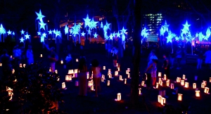 Starry, Starry Night Installation in Memorial Park at WaterFire Providence (Photo by John Nickerson)