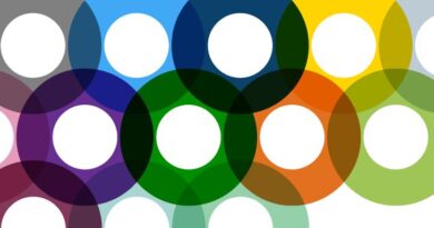 PVDx2031: A Cultural Plan for Culture Shift